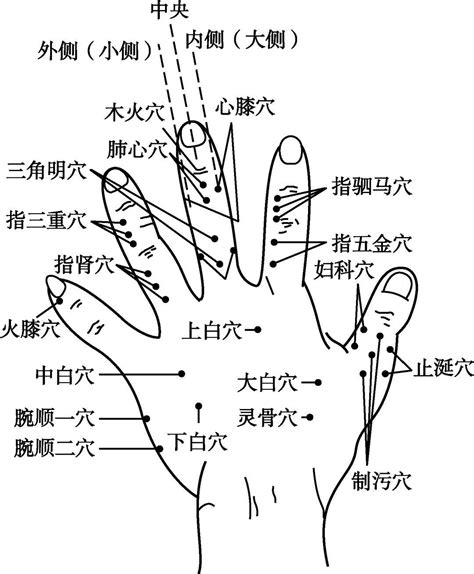 五虎一穴|董氏奇穴·每日一穴（五虎穴）